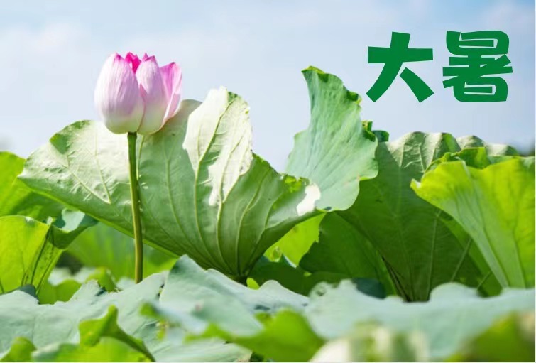 山川知夏 好运连连