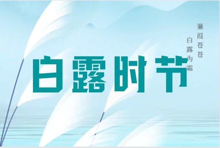 露从今夜白 秋凉请添衣